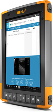 Customize Forms Measa 2