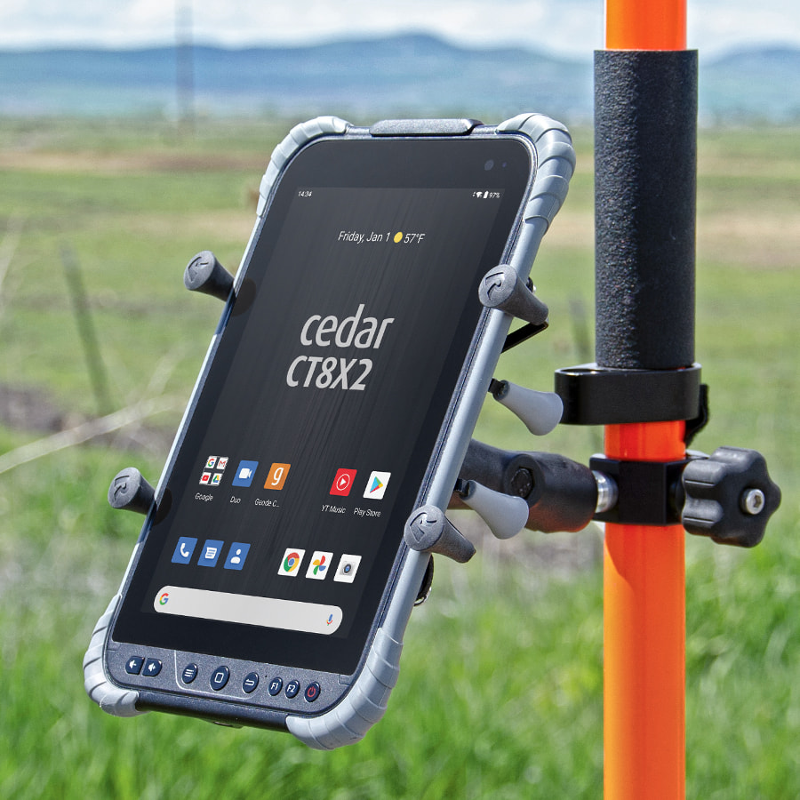 Cedar<sup>™ </sup>CT8X2 image