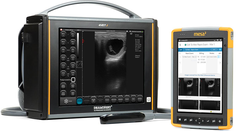 EmberEquine Ultrasound Reproduction Solution