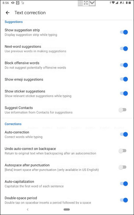 Text Correction Settings
